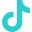 Tiktok icon